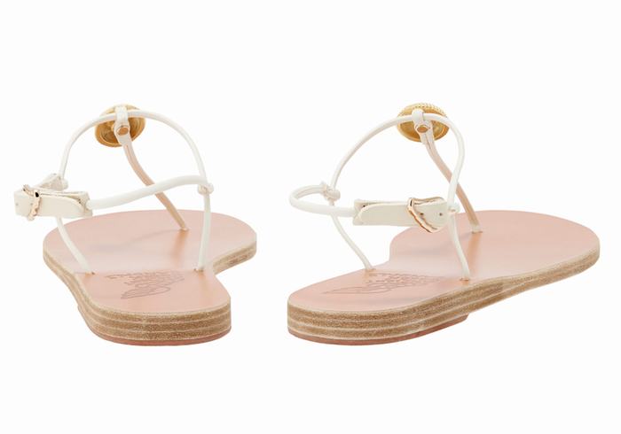 Sandales Bride Arrière Ancient Greek Sandals Dimitra Flip Flop   | JWC-1185266